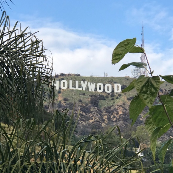 Meet your Posher, Meo - Picture 1 of 1